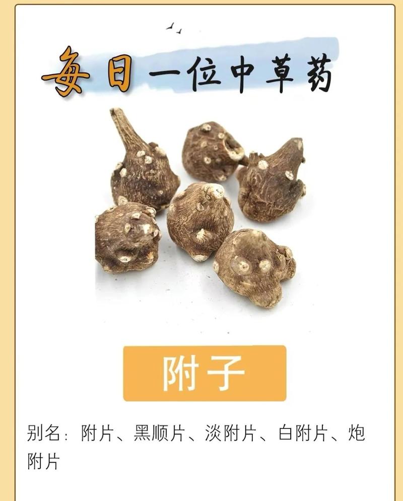 附子seo教程2018千聊版在哪下载