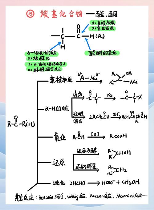 环己酮与SeO2反应生成什么